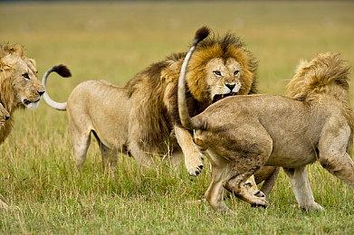 经典游戏《风云默示录：超级组队战》登陆Steam平台