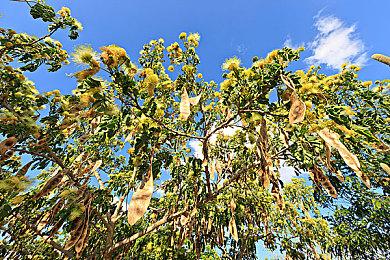 微软回应“收购动视暴雪收益未达预期”报道称消息不实