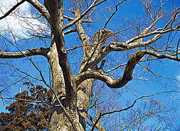 《装机模拟器2》新预告 10月12日发售